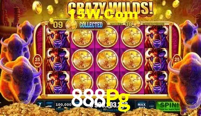 888Pg Belo Horizonte - Basketball